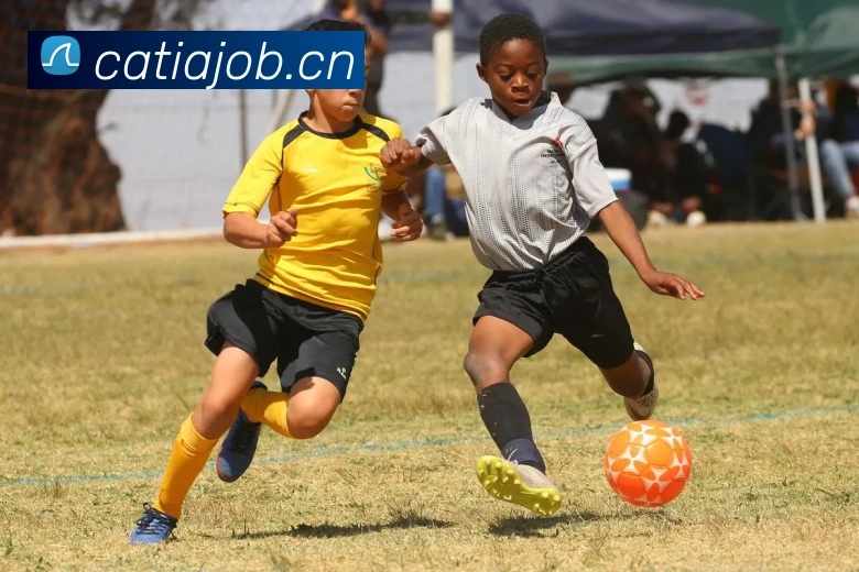 ayx官方网页平台生态图